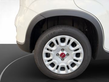 Fiat Panda Base Mild Hybrid 1,0 Klima+ZV+Radio