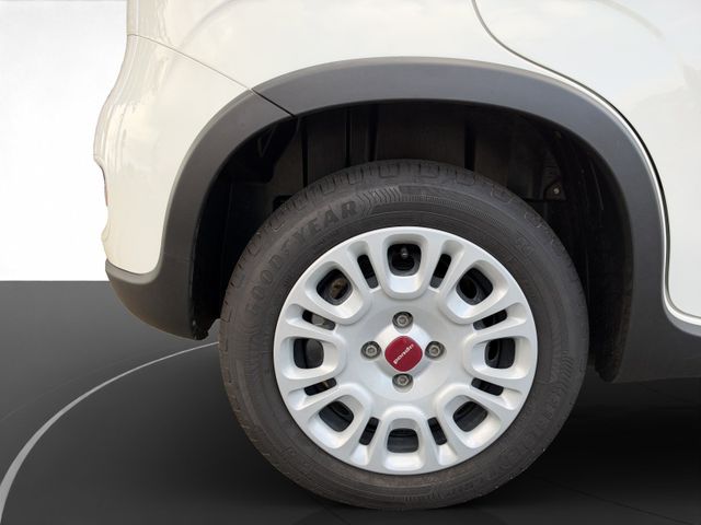 Fiat Panda Base Mild Hybrid 1,0 Klima+ZV+Radio