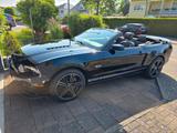 Ford Mustang GT/CS California Special Cabrio - Ford Mustang: Cs