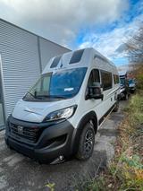 La Strada Avanti C 180PS Automatik Abstandsradar Solar - Angebote