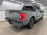 Ford F 150 5.0 V8 XLT Supercrew/LKW/AHK-3,5/LED-Tacho - Ford F 150: Geländewagen