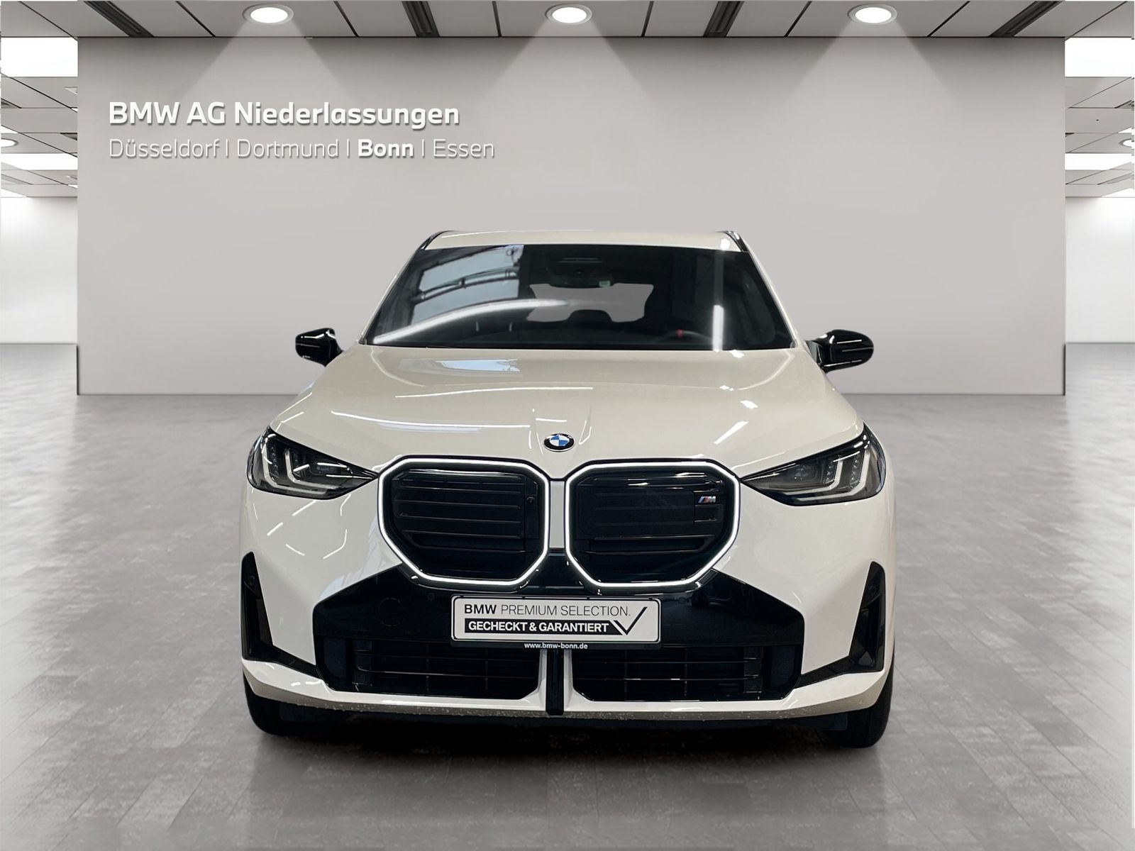BMW X3 M50 - Bild 8