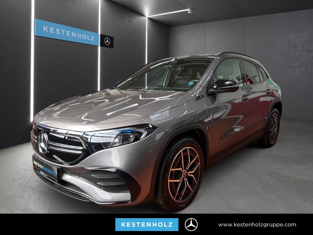 Mercedes-Benz EQA 300 4Matic AMG LED AHK Night Kamera PTS Temp