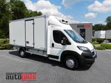 Peugeot BOXER KÜHLKOFFER 0*C 8 PALETTEN TEMPOMAT - Offers