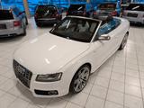 Audi S5 Cabriolet 3.0 TFSI quattro -20"-B&O-SideAssis - Audi S5 aus 2010: Cabrio