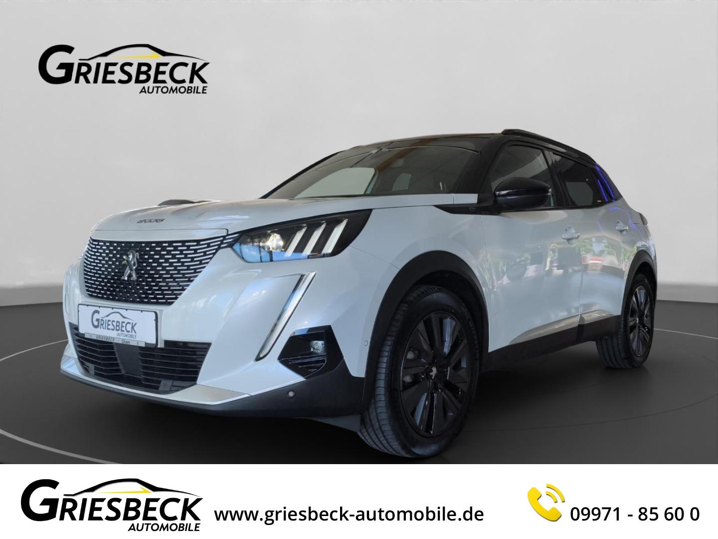 Peugeot 2008 e- GT Elektromotor 136 El. Panodach Navi Le
