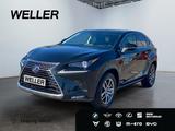 Lexus NX 300h E-FOUR Executive Line *LED*ACC*Leder*CAM - gebrauchte Lexus SUV & Geländewagen