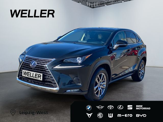 LEXUS NX 300