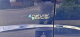 Fiat Ducato 3.0 Liter Benzin und Erdgas CN... - Fiat Ducato mit Benzin-Antrieb