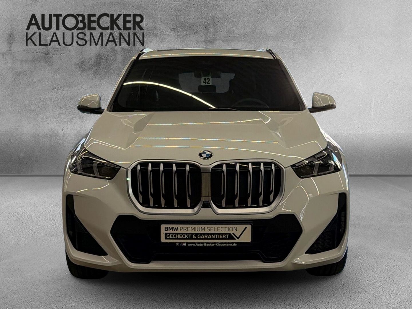 BMW X1 xDrive 20d M SPORT 19'' LC PROF HuD AHK PANO foto 5