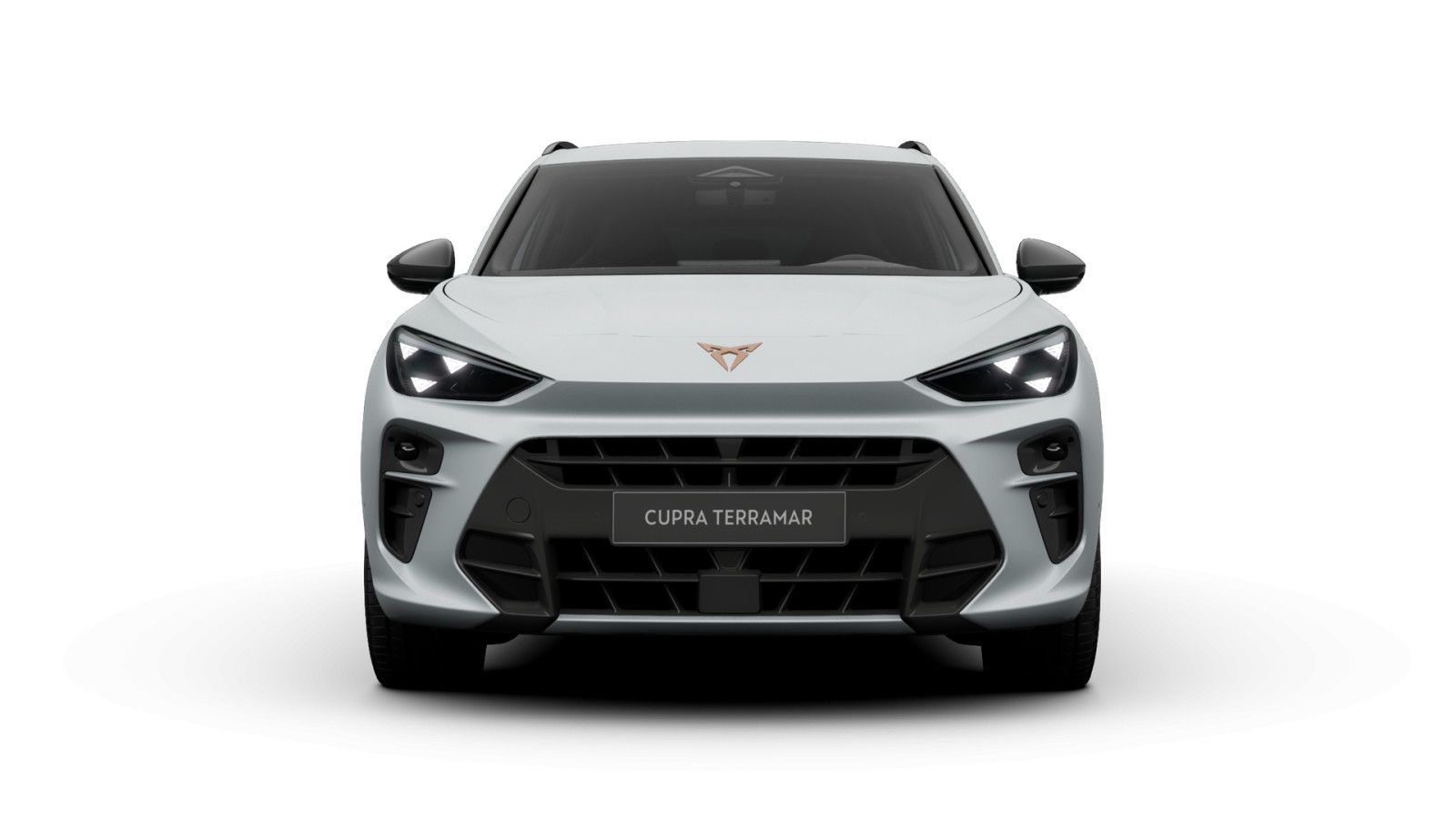 Cupra Terramar - Bild 3