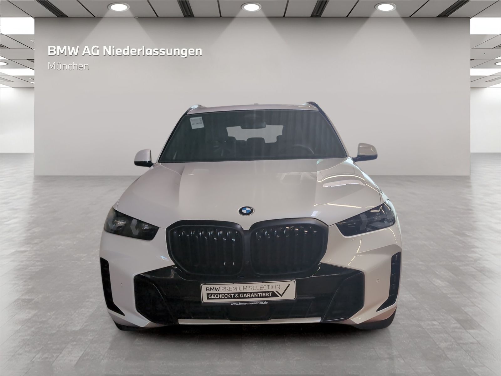 BMW X5 - Bild 4