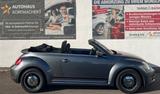 Volkswagen Beetle Cabriolet 1.2 TSI Cup SITZHZG. PDC V/H TE - gebrauchte Cabrios in Freiburg