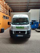 Fiat Ducato Verkaufswagen / Verkaufsmobil - Pkw-Anhänger Verkauf
