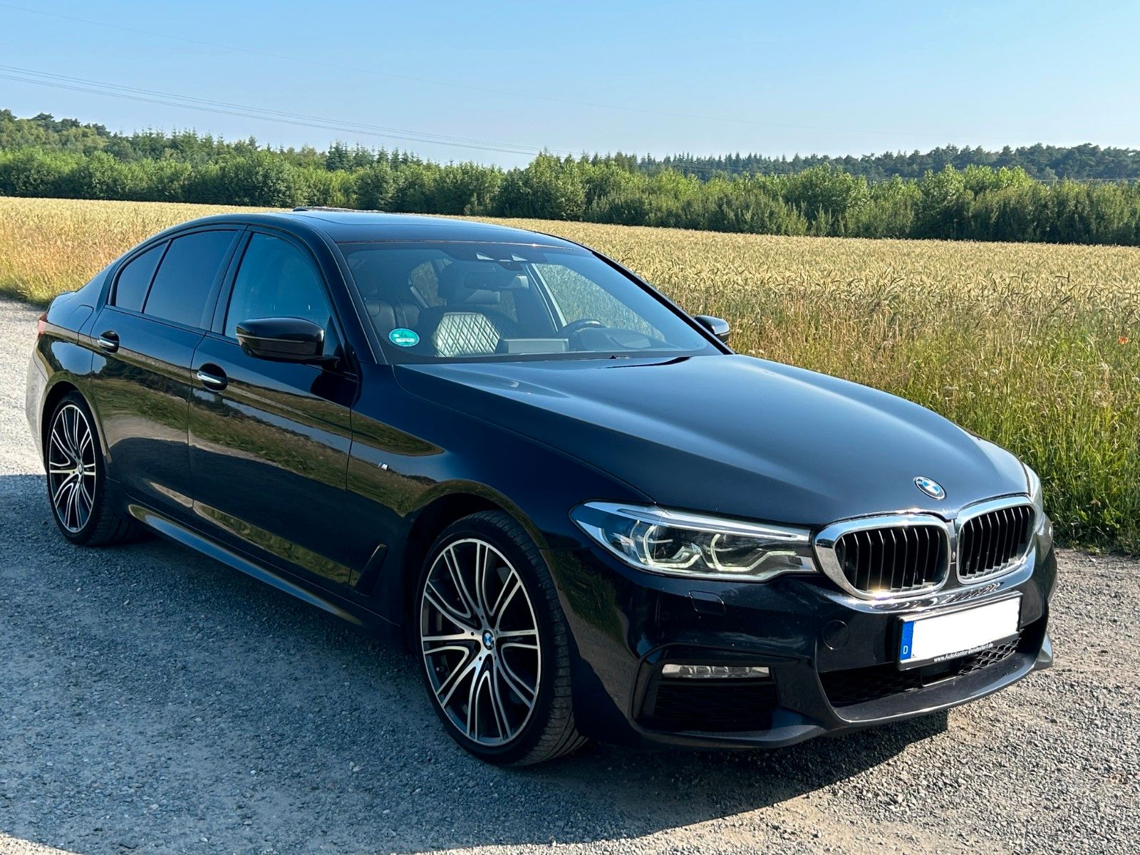 BMW BMW 540 d xDrive M Sport Standhzg. Schiebed.Head