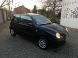 Volkswagen Lupo 1.0 BASIS Basis - Volkswagen Lupo: Schiebedach