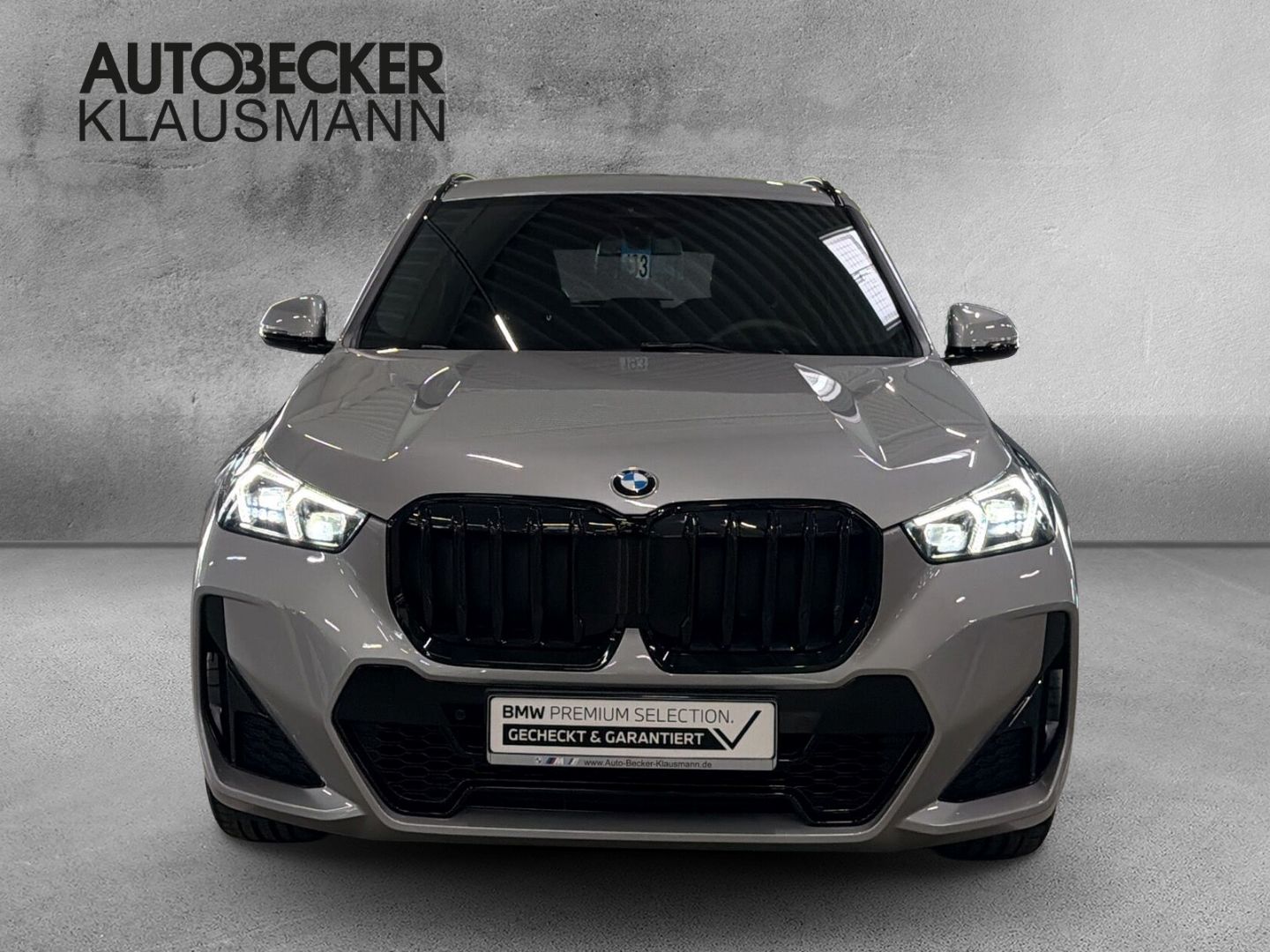 BMW X1 xDrive 20d M SPORT PRO 19''ALARM AHK KAMERA foto 5