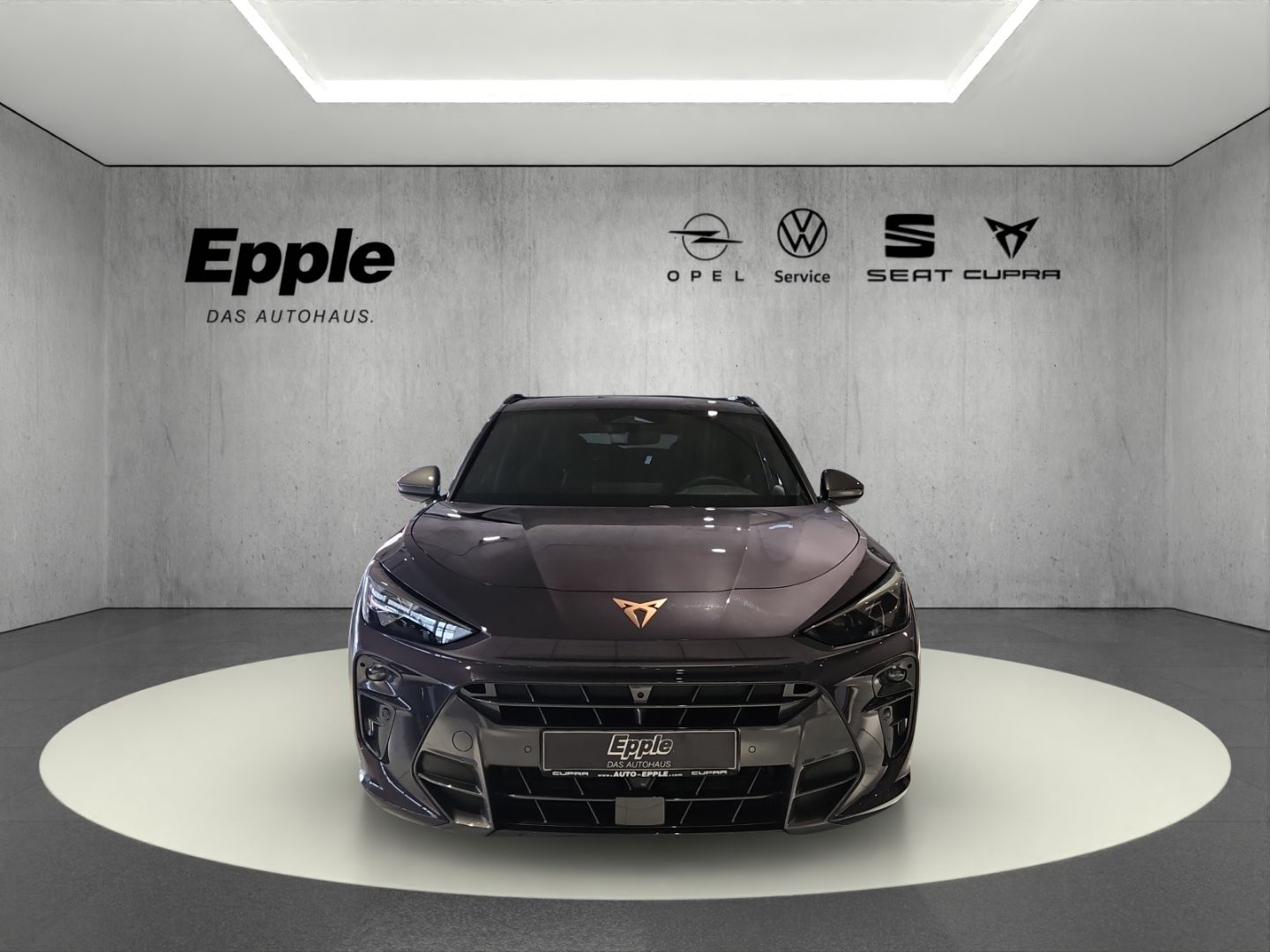 Cupra Terramar - Bild 2
