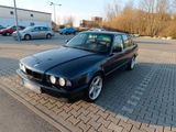 BMW E34 "EISENSCHWEIN" 530i   Schalter H-Z... - BMW 5er Reihe: E34