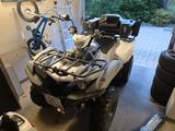 Yamaha Grizzly EPS SE LoF - wenig km + Koffer & Schild - YAMAHA QUAD