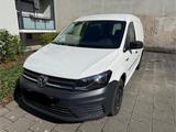 Volkswagen Caddy Nfz Kasten 1 Hand Scheckheftgpf - VW Caddy Gebrauchtwagen in Nürnberg