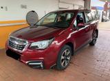 Subaru Forester Exclusive | TOUCH SHZ SDACH - Subaru Forester mit Panoramadach