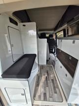 Westfalia Club Joker City - Westfalia Joker