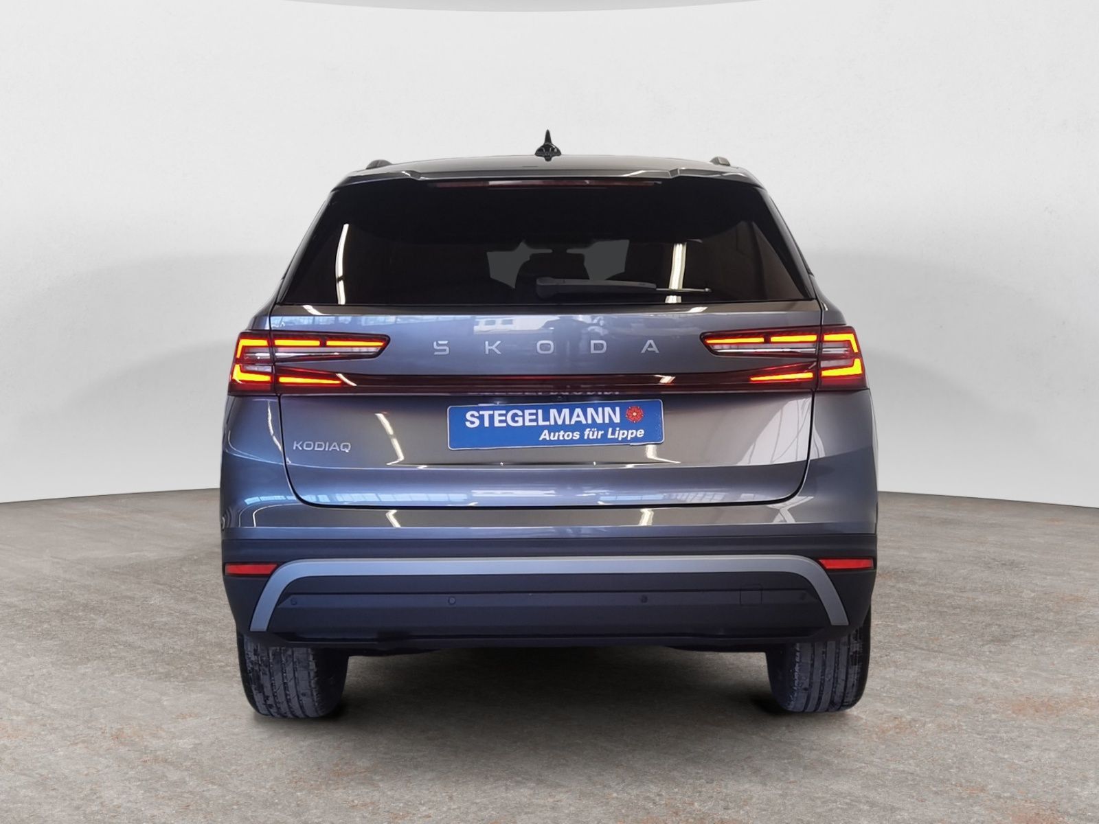 Skoda Kodiaq - Bild 5