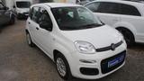 Fiat Panda Easy 1,3l Klima - gebrauchte Fiat Panda aus dem Jahr 2018