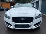 Jaguar XF Pure, Leder, Automatik - Jaguar XF: Pure