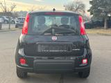 Fiat Panda Base / Klima, Radio, elektr. FH vorn, Blue - Fiat Panda in Chemnitz