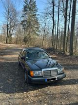 Mercedes-Benz Mercedes 250D W124 H Kennzeichen - Mercedes-Benz S 250: Limousine