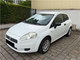 Fiat Punto 1.2 Benzin Sparsam, zuverlässig... - Fiat Punto in Gelsenkirchen