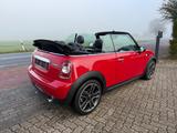 MINI Cooper Cabrio Chili*2.Hd*Leder*Pano*Navi* - mit Benzin-Antrieb: Panorama-Dach, Cabrio