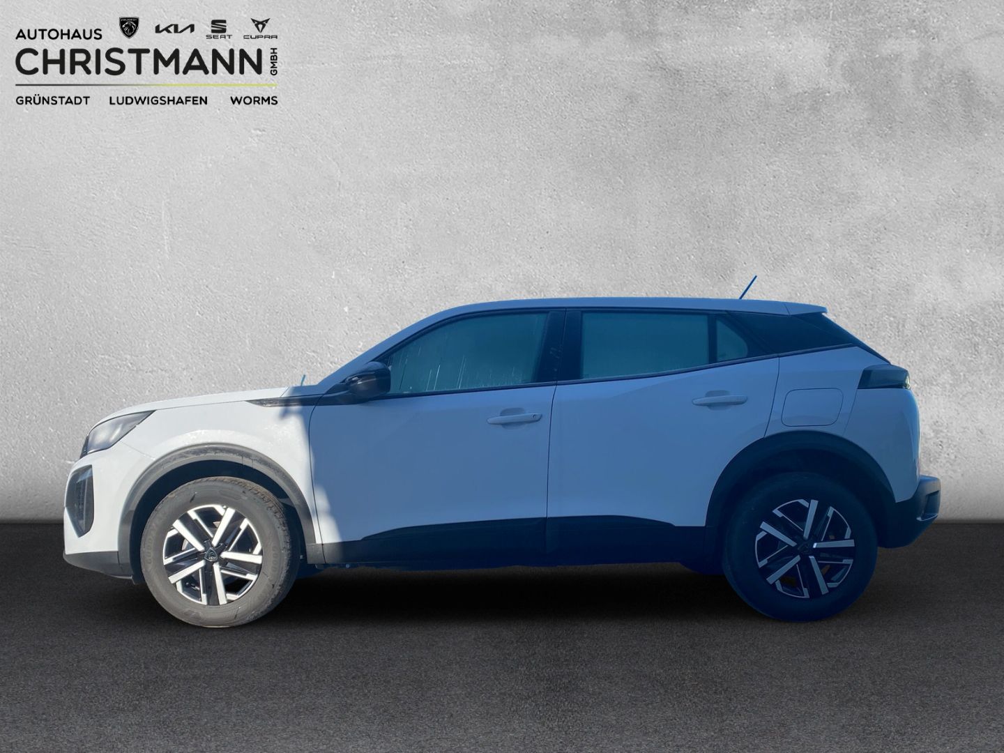 Fahrzeugabbildung Peugeot 2008 Active 1.2 PureTech 100 EU6e