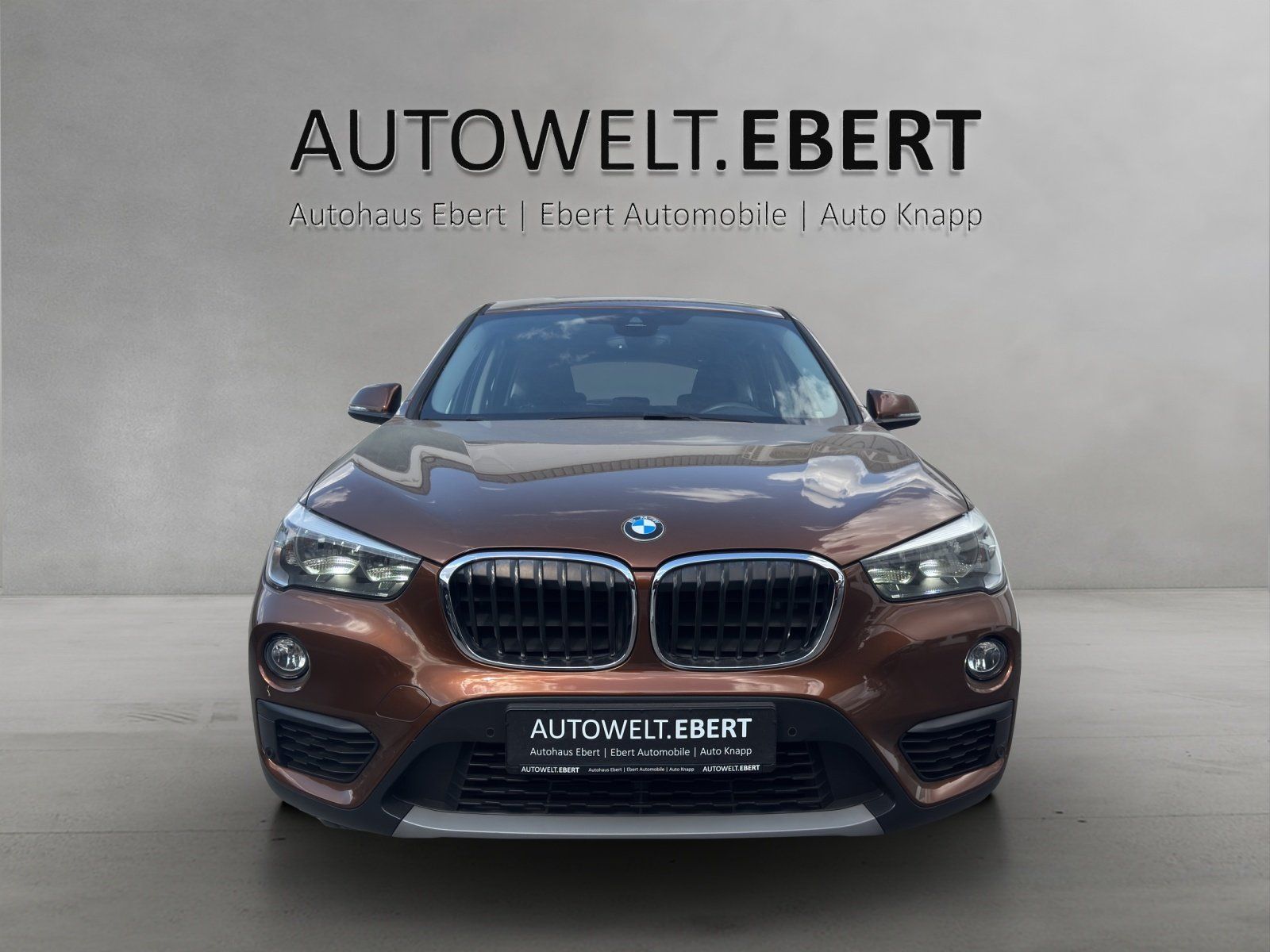 Fahrzeugabbildung BMW X1 sDrive 18i Advantage/PDC/SHZ/NAVI/