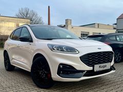 Ford Kuga 1.5 EcoBoost ST-Line X*AHK*BLACK-PACKAGE*SH