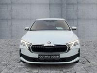 Skoda Octavia - Vorschau Bild 2