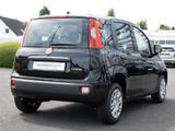 Fiat Panda 1.0 Base PDC KLIMA - Fiat Panda mit Benzin-Antrieb