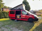 Fiat Scudo Wohnmobil Zulassung  - rote Fiat Scudo
