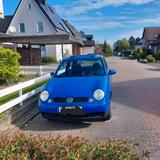 Volkswagen Lupo/ Faltdach/Oxford 1.4