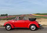 Volkswagen Käfer Cabrio 1303 LS. TÜV.H.Osnabrück. - VW Käfer Gebrauchtwagen in Mönchengladbach