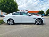 Jaguar XE P250 Aut. | 360° | CarPlay | 8-fach bereift - weiße Jaguar XE