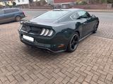 Ford Mustang 5.0 Ti-VCT V8 Bullitt Bullitt - Ford Mustang: Bullit
