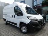 Fiat Ducato 2.2d Kasten 35 140 L2H2 NAVI/KAM/KLIMA - Fiat Ducato: 14