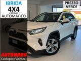 Toyota RAV 4 RAV4 2.5 HV (222CV) E-CVT AWD-i Dyn - Toyota Dyna Gebrauchtwagen