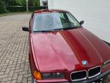 BMW E36 316i  1.Hand Liebhaberfahrzeug  - BMW 316 aus 1993: 316i
