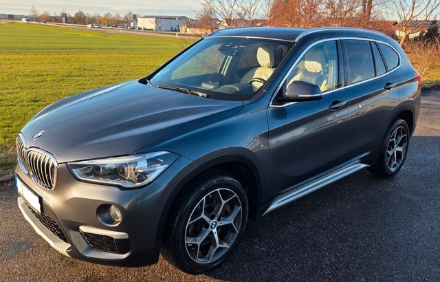 BMW X1 xDrive20d*Aut*AHK*ACC*Leder*Top