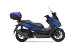 Honda Forza 125 - Aktion -Tageszulassung - #3956 - HONDA FORZA 125