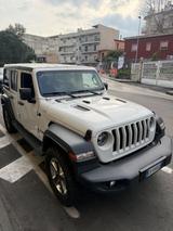 Jeep Wrangler 2.2 Mjt II Sahara 5 PORTE PELLE - Jeep Wrangler: 2.5